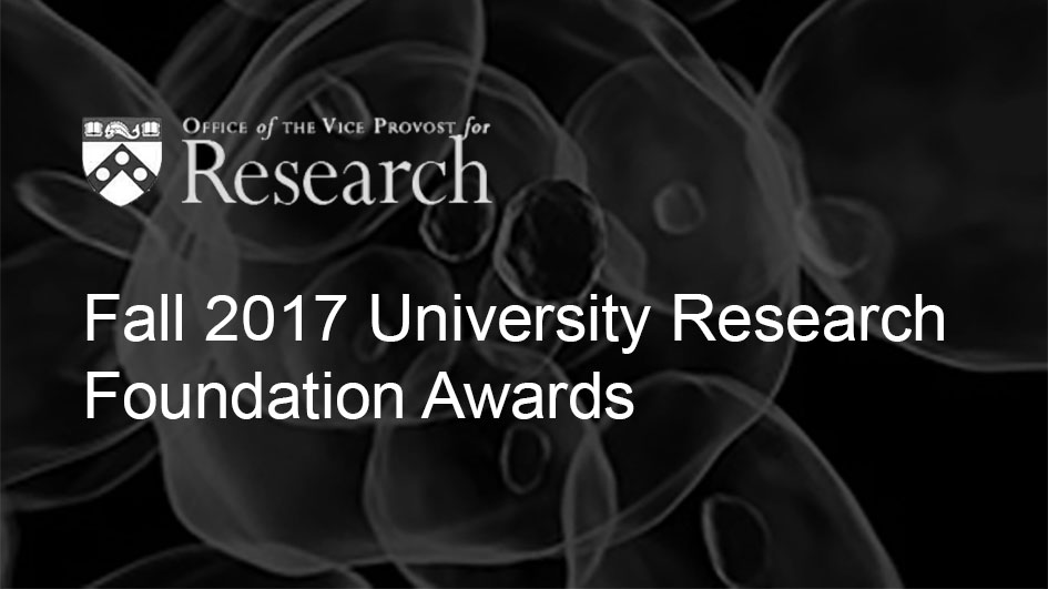 University Research Foundation Awards